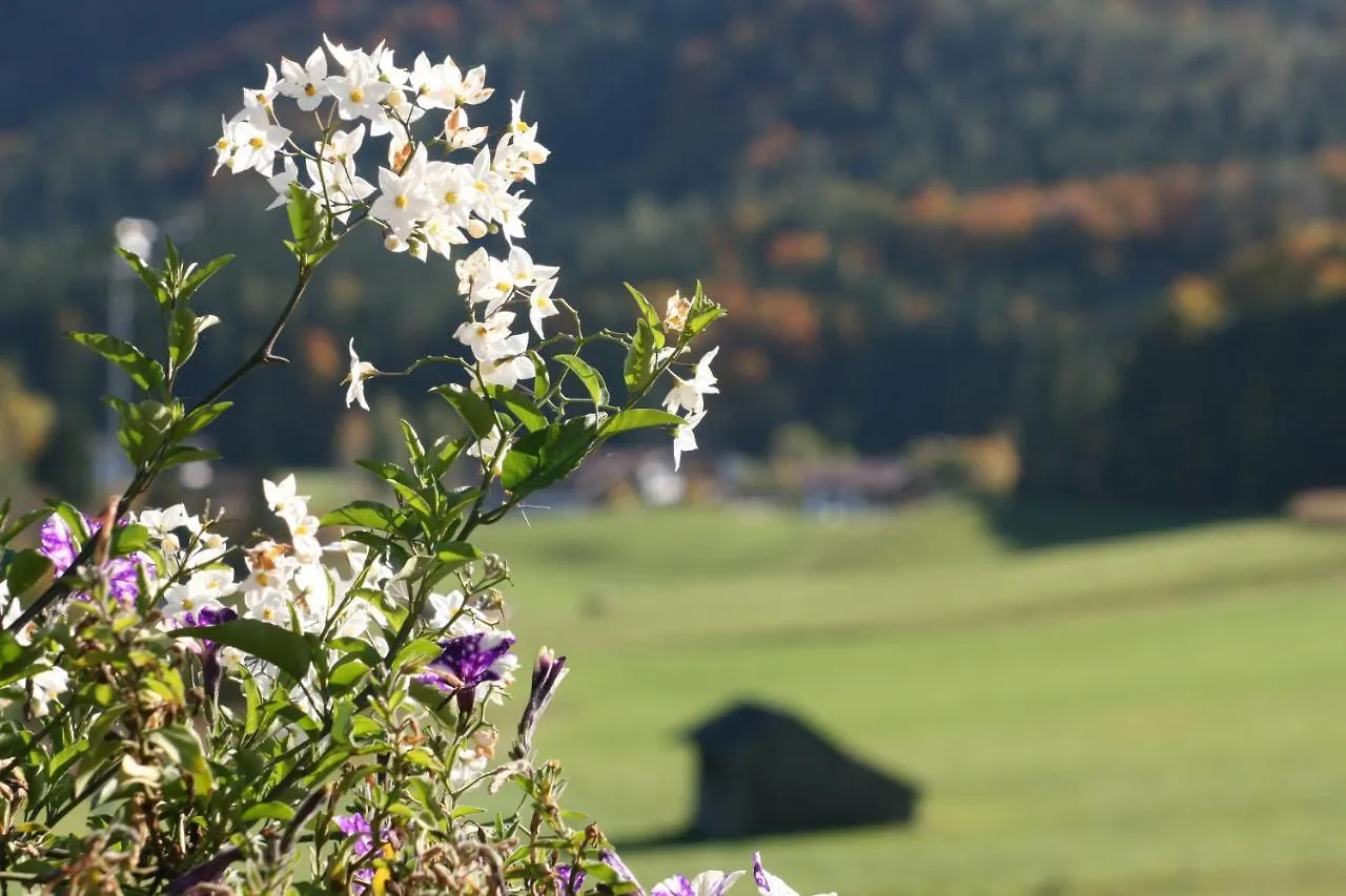 Chalet Harmonie Inzell 0*,  Germany